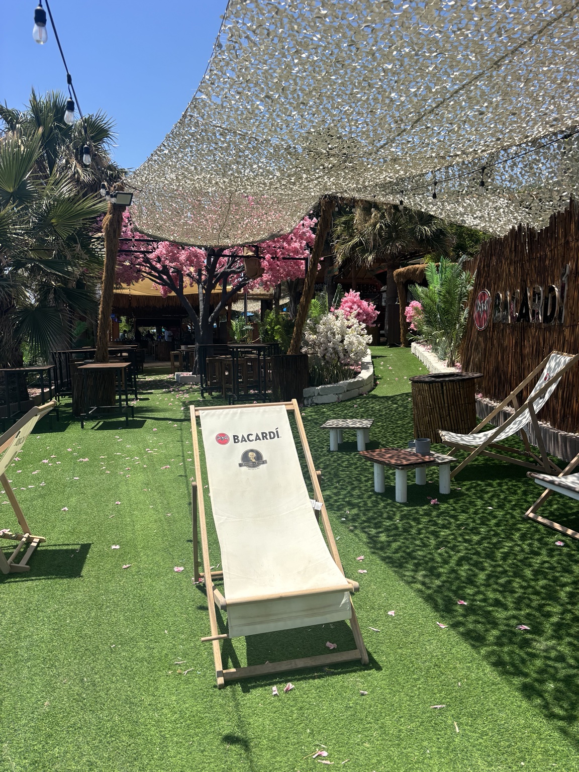 Beachbar & Essen am Meer