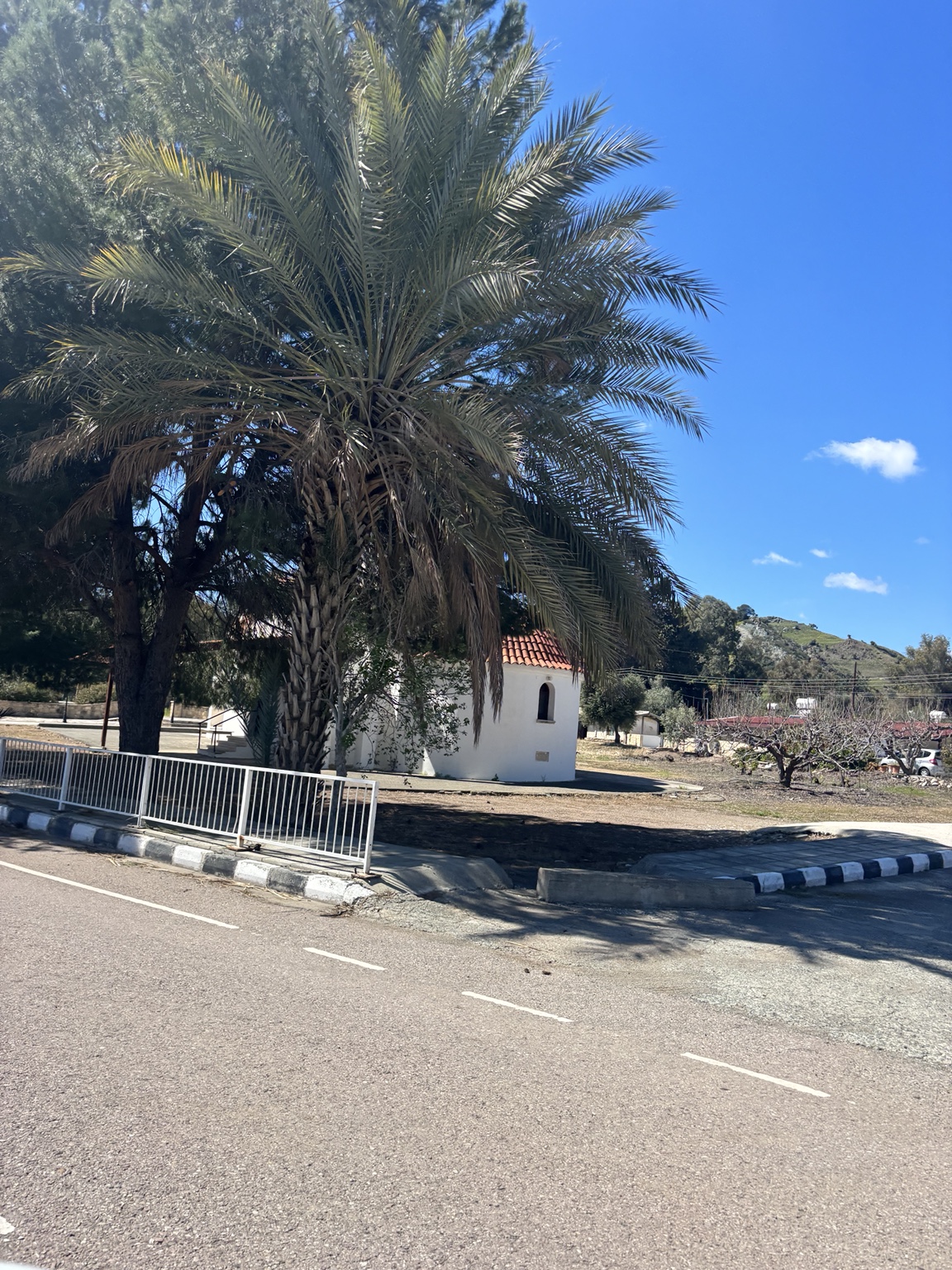 Kleine Kapelle mit Palme im Troodos-Gebirge