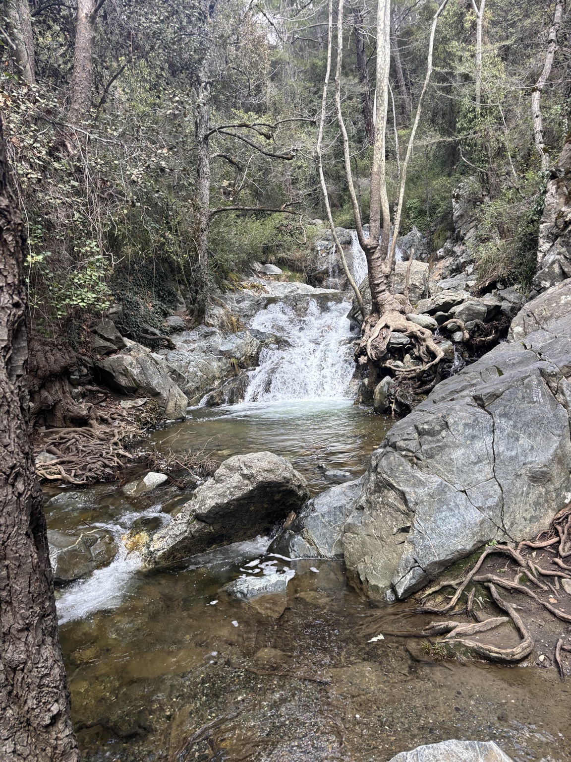 Kleiner Wasserfall zwischen Felsen und Bäumen