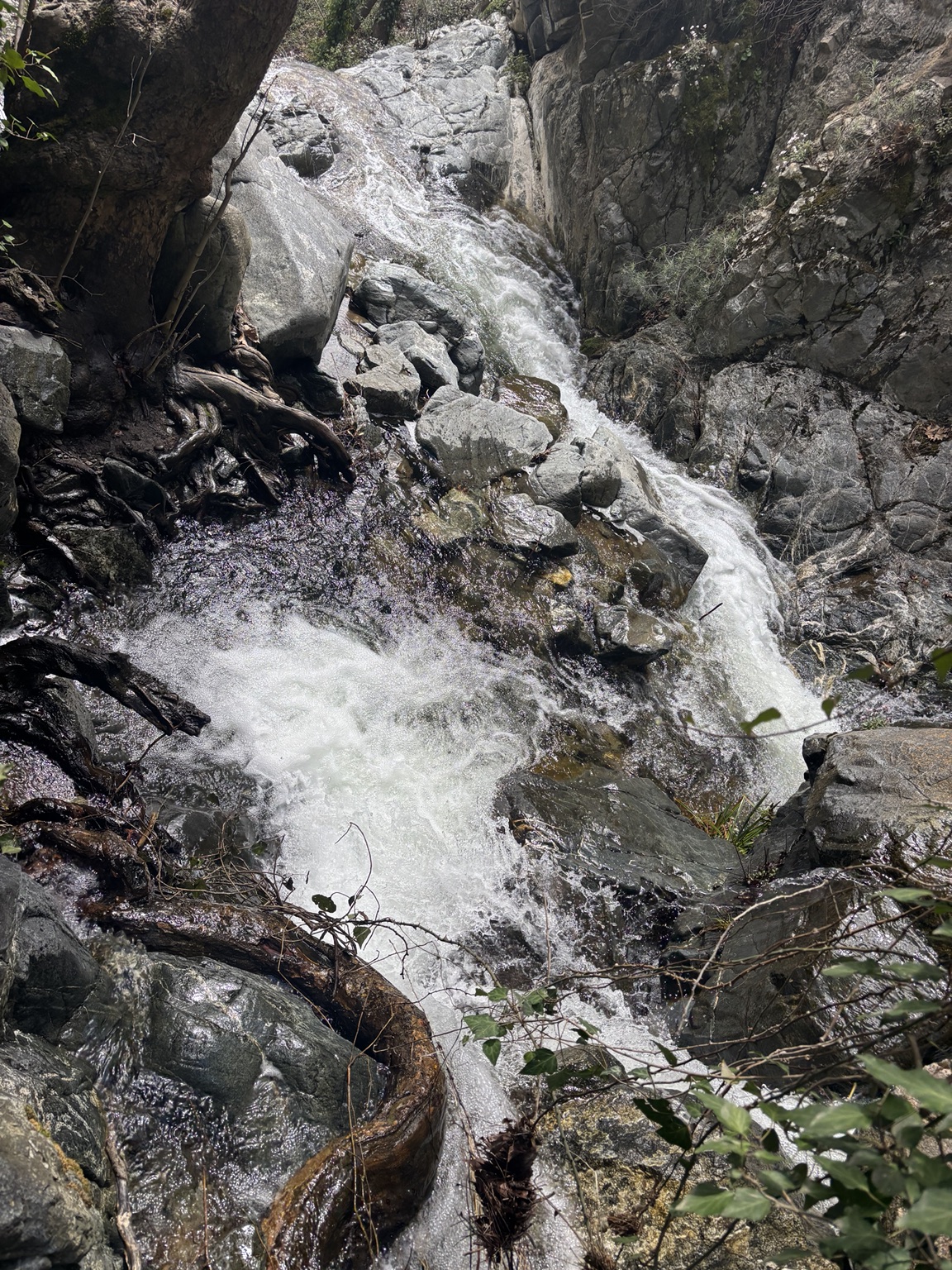 Wasserlauf über Felsen im Wald
