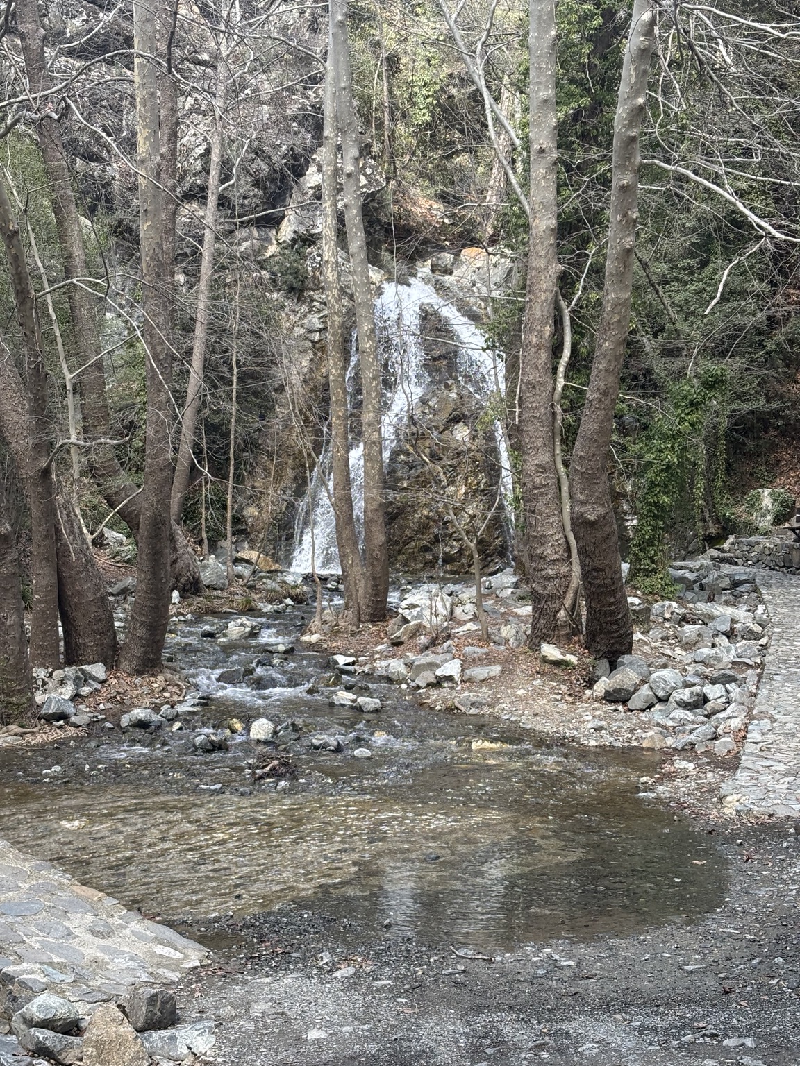 Bachlauf und Wasserfall zwischen Bäumen