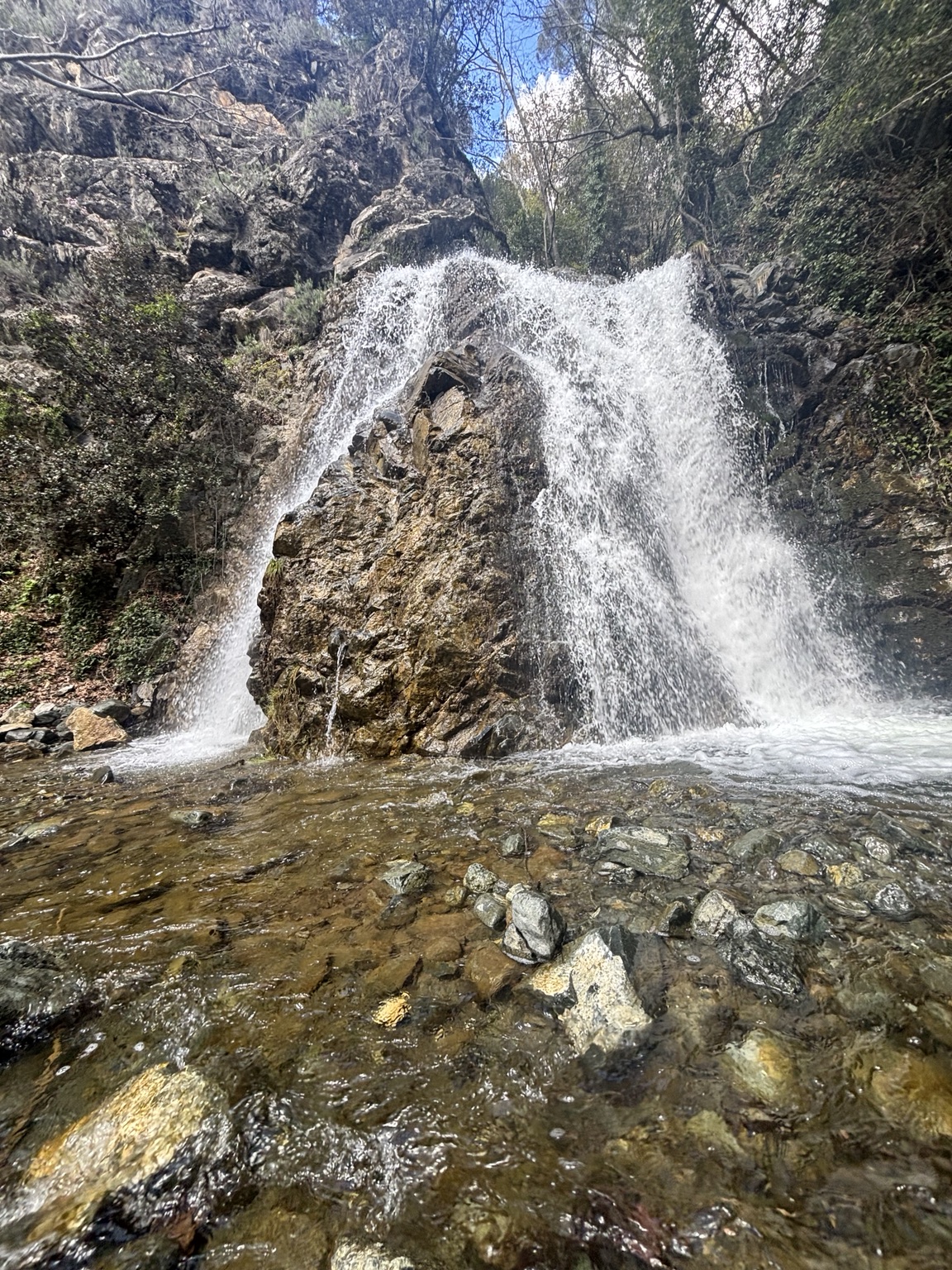 Wasserfall und Bachlauf zwischen Bäumen